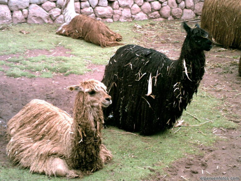 valle sagrado 009